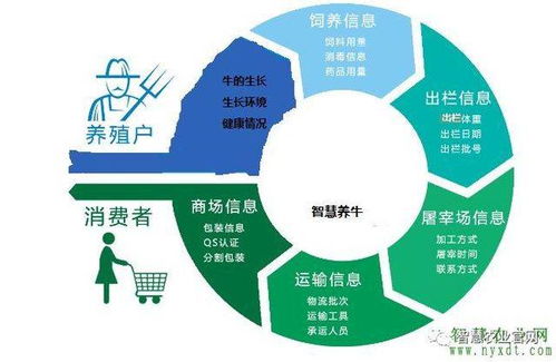 智慧农业新篇章 物联网智慧养牛系统的软件开发与应用